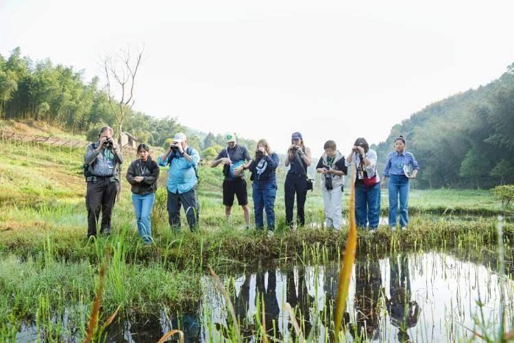  技术解码：重庆生态治理的三个创新样本 文化旅游
