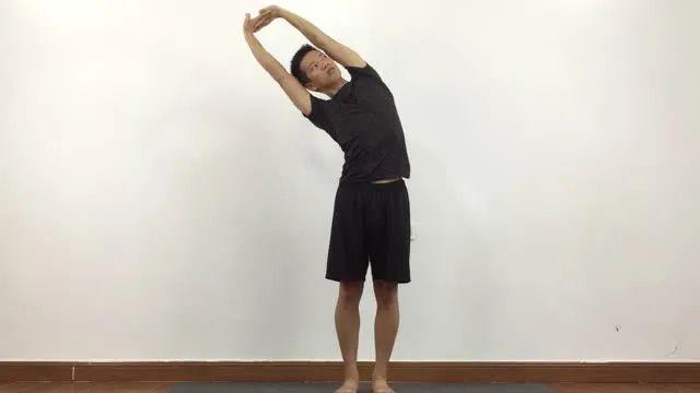 【中医理论】从肝经运行解析睡眠障碍:玫瑰花与桑葚的协同作用机制 健康养生