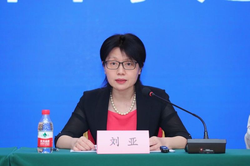 全国人大代表刘亚：常态化发行专项债，支持中小银行可持续发展 新闻