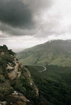 复洁科技:业绩扭亏为盈,绿色甲醇项目获机构密集关注 新闻