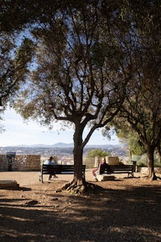  从谈判桌到战场，特朗普对伊政策为何急转弯；内部博弈激烈，以色列因素关键。 新闻