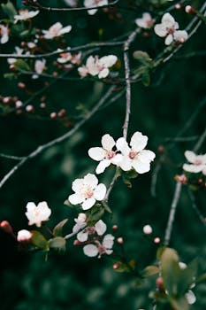  港股市场波动加剧；理想汽车内部酝酿回购方案；创始人信心传递市场信号。 股票财经