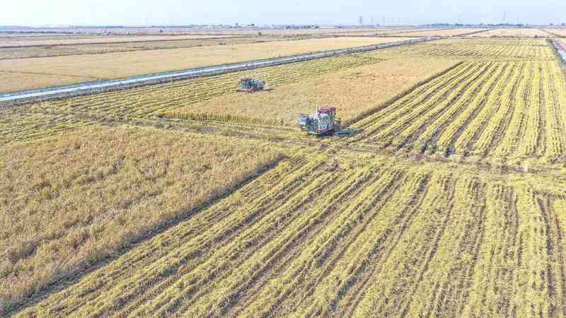  北京金融监管局发布细则；农业保险精准投保理赔迈入新阶段。 股票财经 北京金融监管局发布细则；农业保险精准投保理赔迈入新阶段。 股票财经 北京金融监管局发布细则；农业保险精准投保理赔迈入新阶段。 股票财经