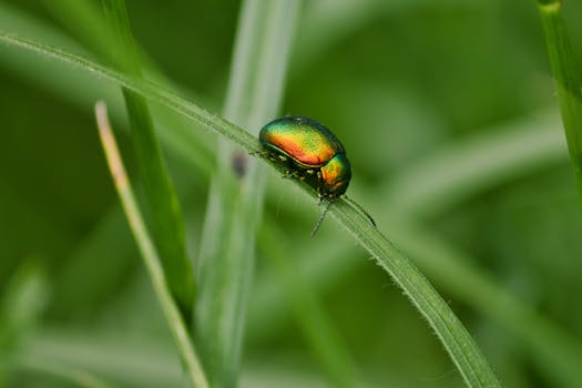 昊海生科业绩承压,眼科集采高压持续;医美增长明显放缓。 股票财经 昊海生科业绩承压,眼科集采高压持续;医美增长明显放缓。 股票财经