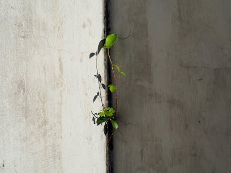  金石奖闪耀时刻，富德生命人寿直赔案例获赞；出院即获赔付，温暖守护每一位客户。 新闻 金石奖闪耀时刻，富德生命人寿直赔案例获赞；出院即获赔付，温暖守护每一位客户。 新闻 金石奖闪耀时刻，富德生命人寿直赔案例获赞；出院即获赔付，温暖守护每一位客户。 新闻