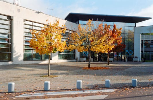  法网交织，润泽数字时代；治道护航，谱写普法新篇。 文化旅游