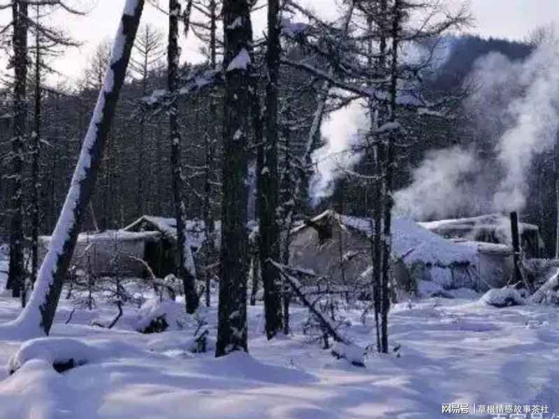  【技术解构】伐木作业中的“道套子”工艺与高危事故链——基于小兴安岭伊春林业局的实地案例分析 文化旅游