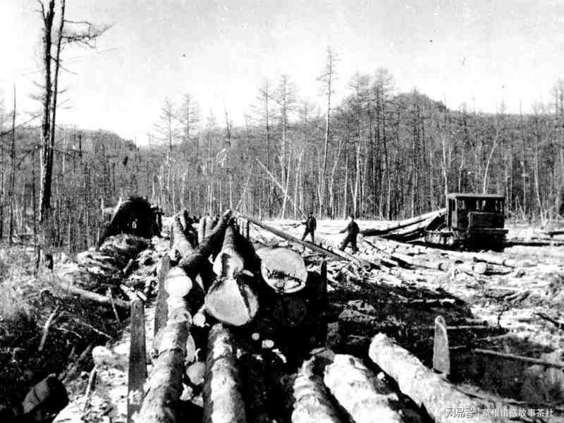  【技术解构】伐木作业中的“道套子”工艺与高危事故链——基于小兴安岭伊春林业局的实地案例分析 文化旅游