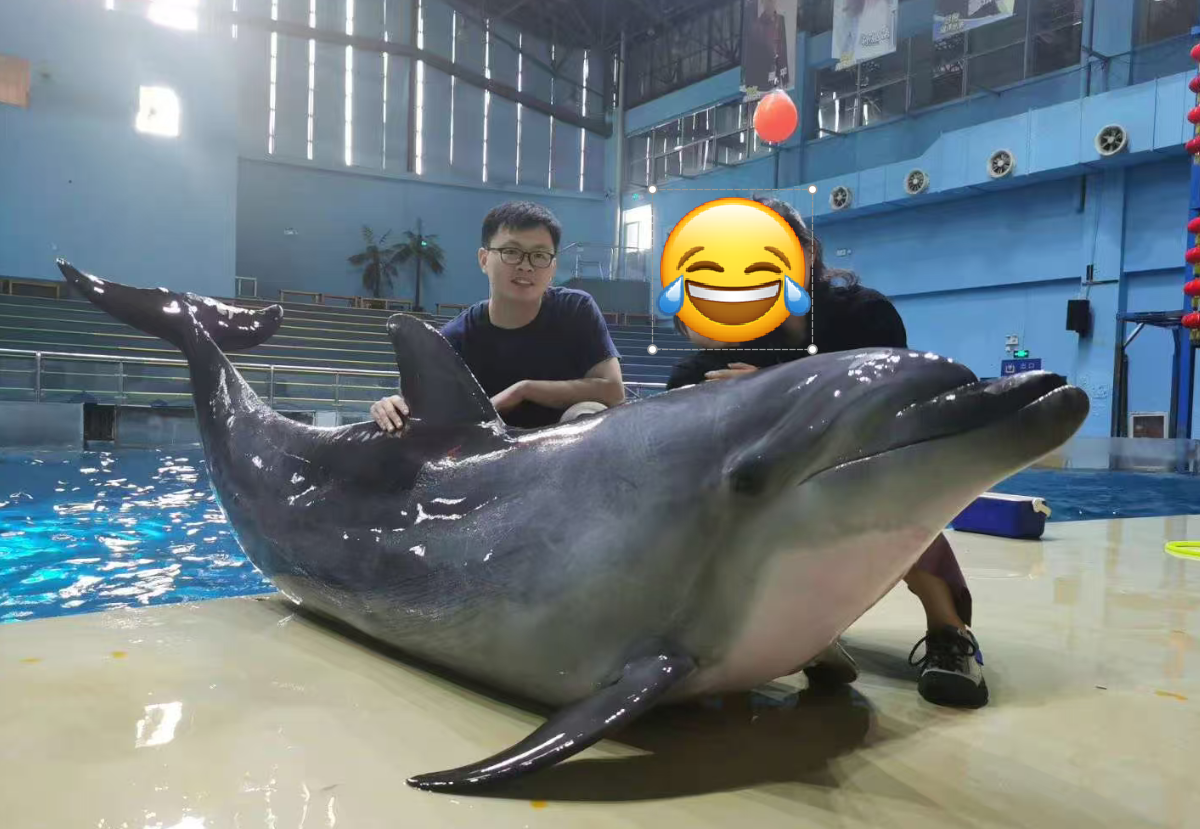  从脑科学到性行为：宽吻海豚如何用智慧重塑繁殖策略 新闻