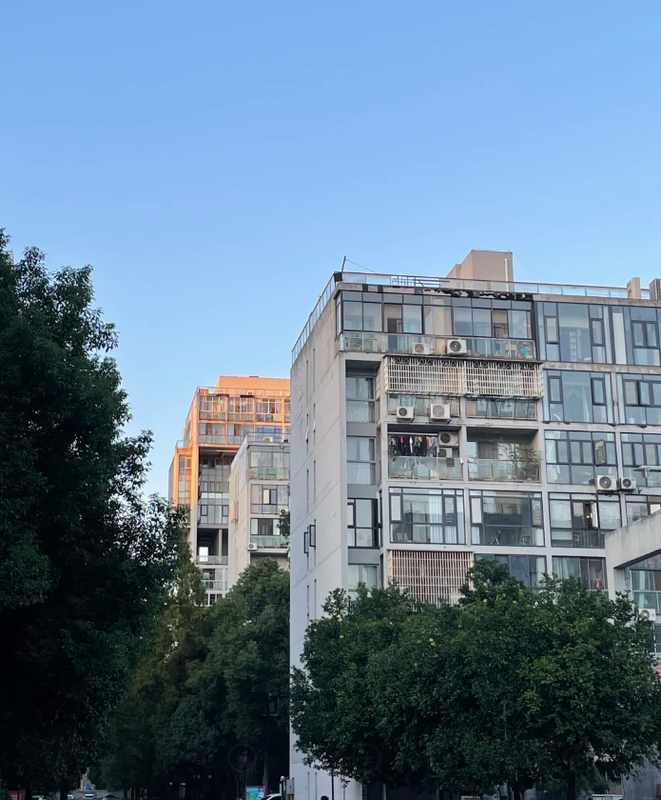  安藤忠雄「清水混凝土美学」遭遇中国式改造：一场建筑设计与居住习惯的正面碰撞 房产家居