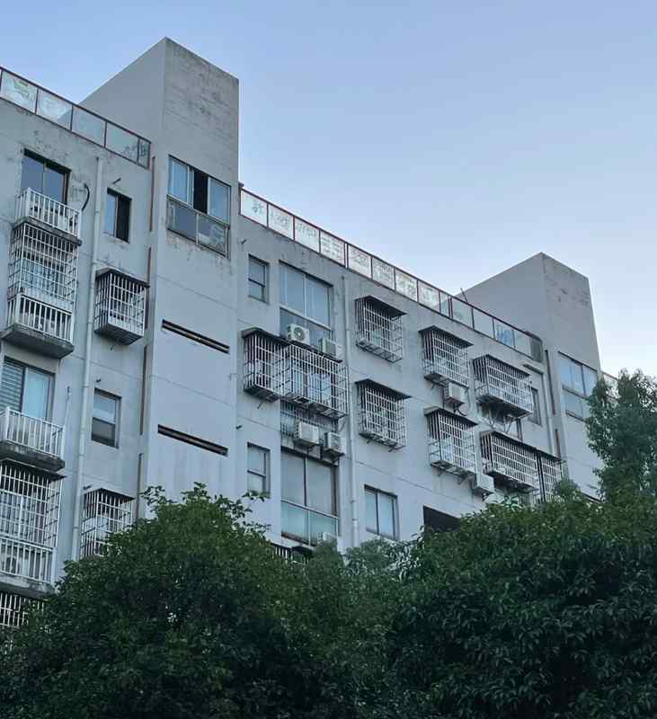  安藤忠雄「清水混凝土美学」遭遇中国式改造：一场建筑设计与居住习惯的正面碰撞 房产家居
