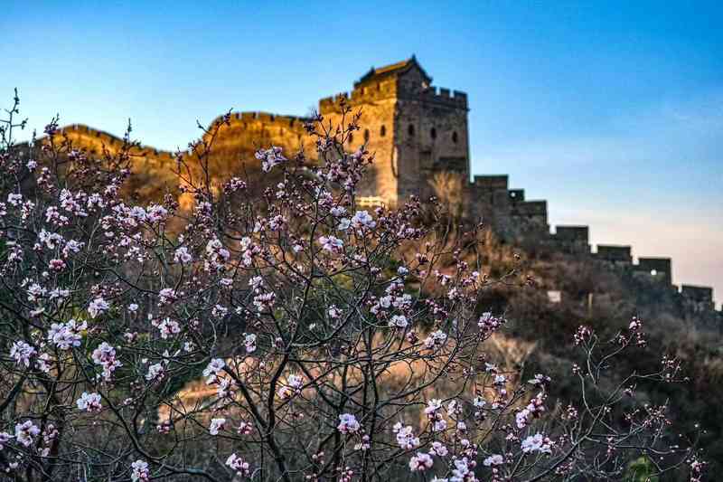 清明气节的技术解码：自然算法与人文数据的深度融合 文化旅游