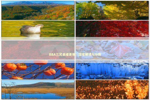 BBA三兄弟谁更惨:深度解读与分析 BBA三兄弟谁更惨:深度解读与分析 新闻