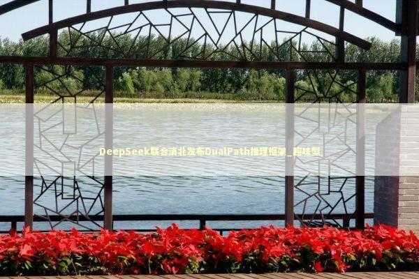 DeepSeek联合清北发布DualPath推理框架_趣味型