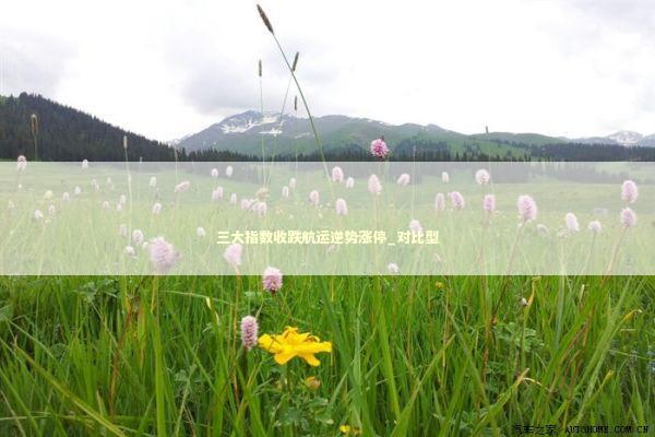 三大指数收跌航运逆势涨停_对比型 新闻