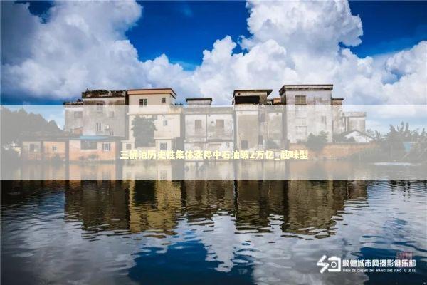 三桶油历史性集体涨停中石油破2万亿_趣味型