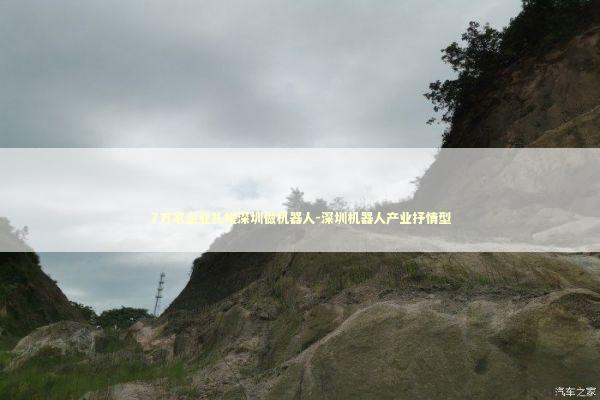 7万家企业扎堆深圳做机器人-深圳机器人产业抒情型 7万家企业扎堆深圳做机器人-深圳机器人产业抒情型 新闻