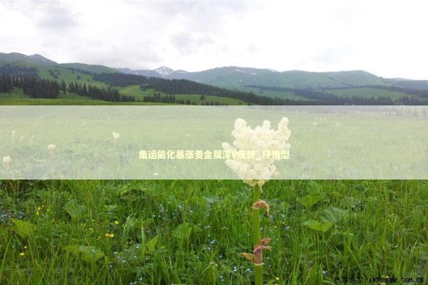 集运能化暴涨贵金属深V反转_抒情型 集运能化暴涨贵金属深V反转_抒情型 新闻