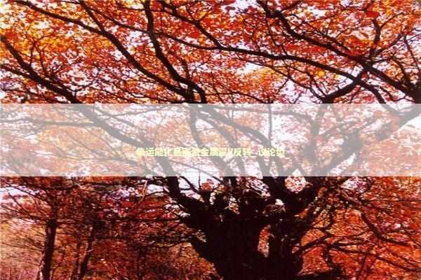 集运能化暴涨贵金属深V反转_议论型 新闻
