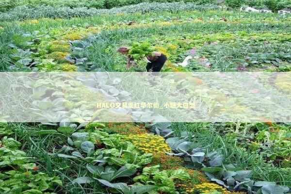 HALO交易走红华尔街_小题大做型 HALO交易走红华尔街_小题大做型 新闻