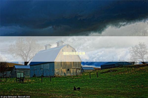 港股科技股反弹 港股科技股反弹 新闻