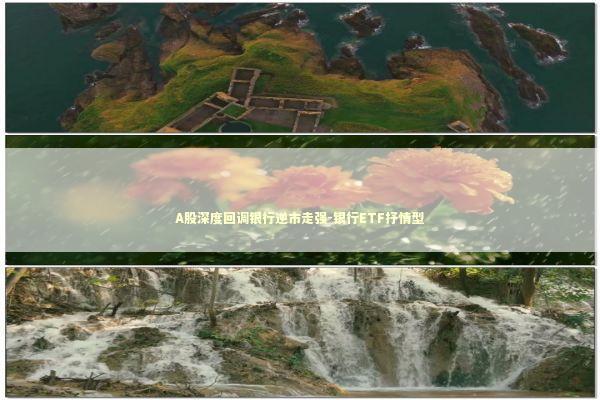 A股深度回调银行逆市走强-银行ETF抒情型 A股深度回调银行逆市走强-银行ETF抒情型 新闻