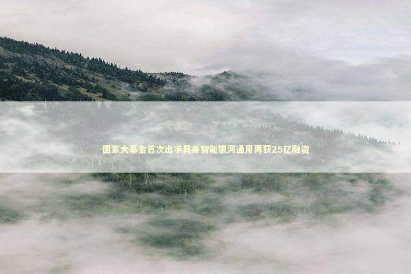 国家大基金首次出手具身智能银河通用再获25亿融资 国家大基金首次出手具身智能银河通用再获25亿融资 新闻