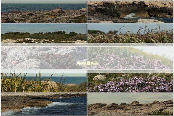 两会A股表现 两会A股表现 新闻