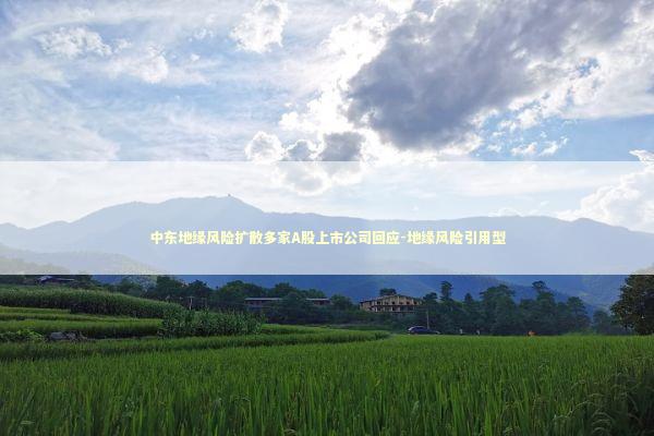 中东地缘风险扩散多家A股上市公司回应-地缘风险引用型 中东地缘风险扩散多家A股上市公司回应-地缘风险引用型 新闻
