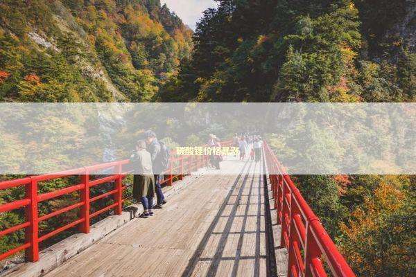 碳酸锂价格暴涨 新闻