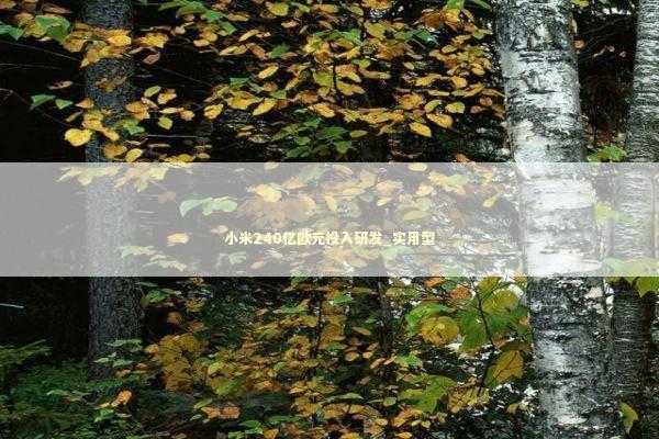 小米240亿欧元投入研发_实用型