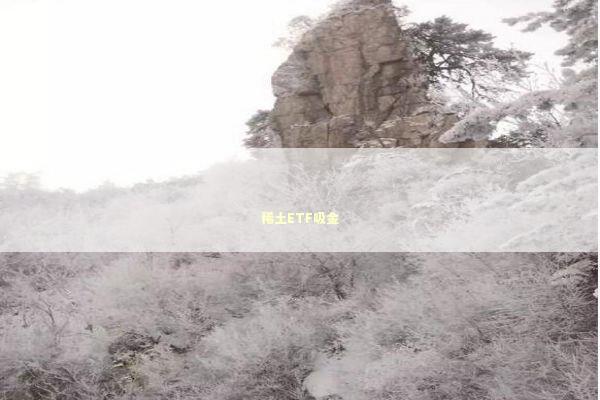 稀土ETF吸金 稀土ETF吸金 新闻