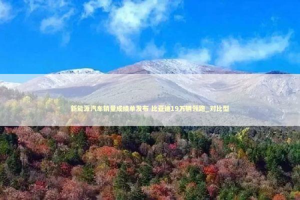 新能源汽车销量成绩单发布 比亚迪19万辆领跑_对比型 新能源汽车销量成绩单发布 比亚迪19万辆领跑_对比型 新闻