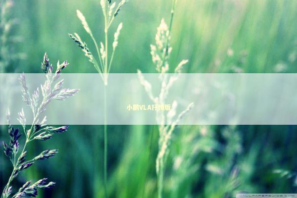 小鹏VLA抒情版 小鹏VLA抒情版 新闻