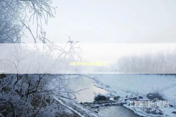 A股市场核心数据速览 A股市场核心数据速览 新闻