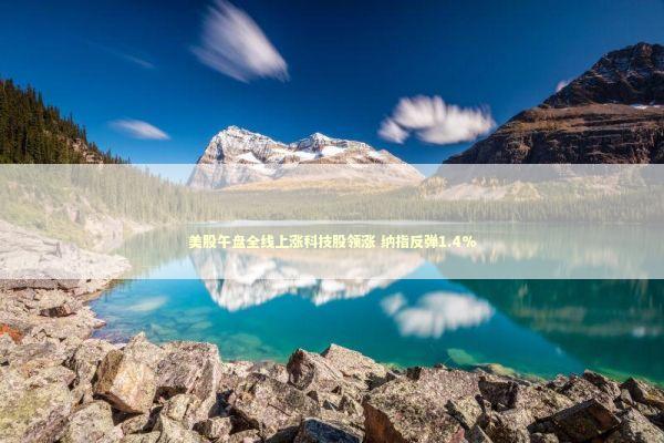 美股午盘全线上涨科技股领涨 纳指反弹1.4% 新闻