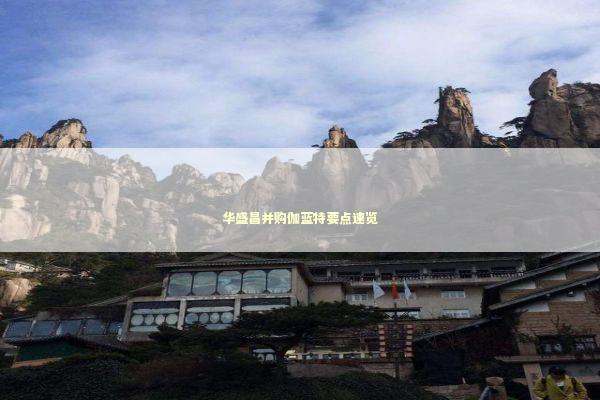 华盛昌并购伽蓝特要点速览 华盛昌并购伽蓝特要点速览 新闻