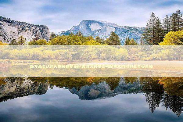 新发基金认购火爆长信均衡配置混合触发比例配售年内科创基金受追捧 新发基金认购火爆长信均衡配置混合触发比例配售年内科创基金受追捧 新闻