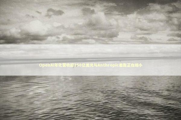 OpenAI年化营收超250亿美元与Anthropic差距正在缩小 OpenAI年化营收超250亿美元与Anthropic差距正在缩小 新闻