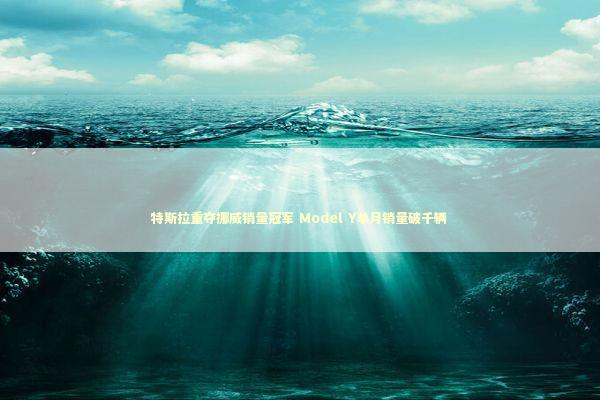 特斯拉重夺挪威销量冠军 Model Y单月销量破千辆 特斯拉重夺挪威销量冠军 Model Y单月销量破千辆 新闻