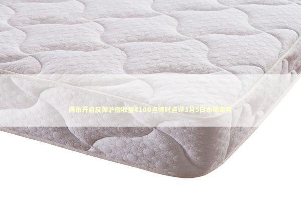 两市开启反弹沪指收复4100点博时点评3月5日市场走势 两市开启反弹沪指收复4100点博时点评3月5日市场走势 新闻