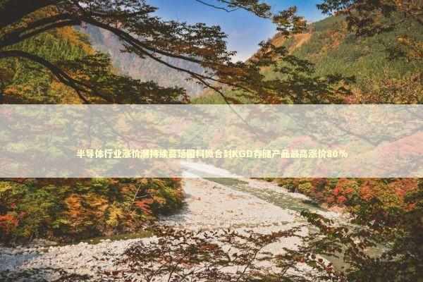 半导体行业涨价潮持续蔓延国科微合封KGD存储产品最高涨价80% 新闻