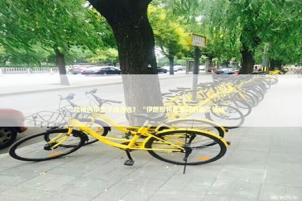 哈梅内伊之子或当选？“伊朗即将选出新的最高领袖” 新闻