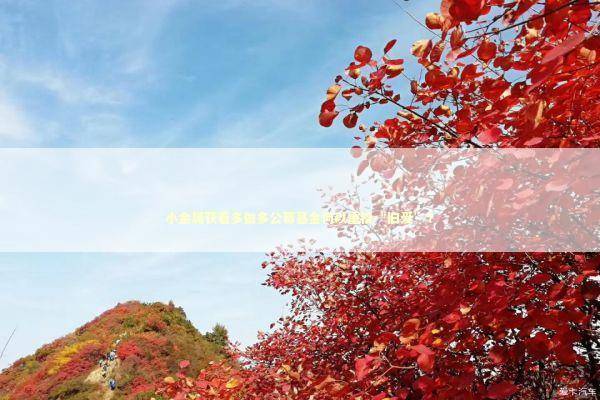 小金属获看多做多公募基金何以重拾“旧爱”? 小金属获看多做多公募基金何以重拾“旧爱”? 新闻