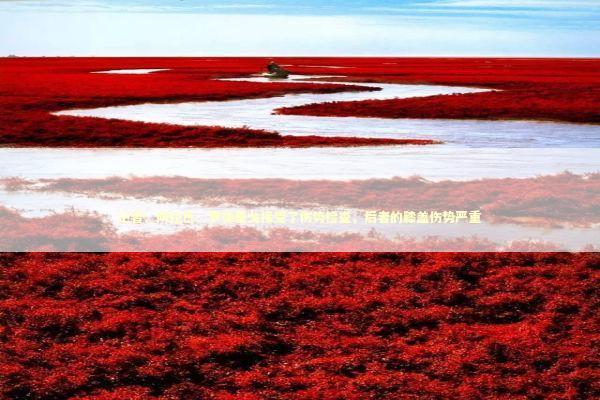 记者：阿拉巴、罗德里戈接受了伤势检查，后者的膝盖伤势严重