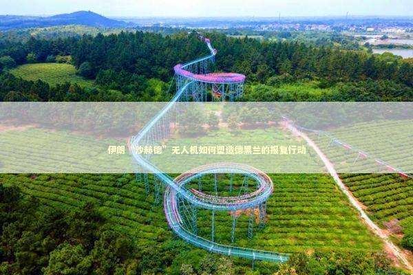 伊朗“沙赫德”无人机如何塑造德黑兰的报复行动 新闻