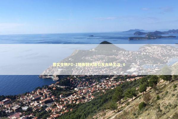 君实生物PD-1销售额大增引发市场关注_6