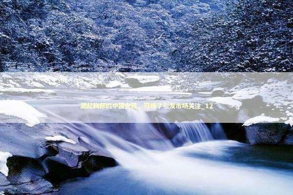 藏起胸部的中国女孩，可惜了引发市场关注_12 新闻