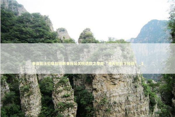 参议员沃伦痛批特朗普拖延关税退款之举是“光天化日下抢劫”_1 新闻