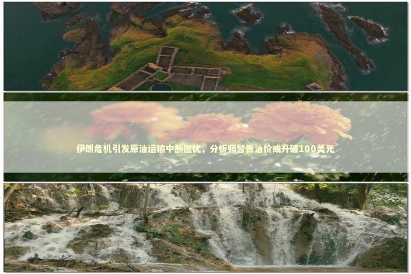 伊朗危机引发原油运输中断担忧，分析师警告油价或升破100美元